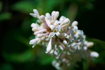 E9817ACD-8E60-4D8C-BFBB-BB5CF9F5C662/L0/001