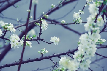 B14874AA-C154-4BFD-86CD-DDBD0D693F02/L0/001