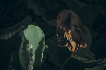 507022