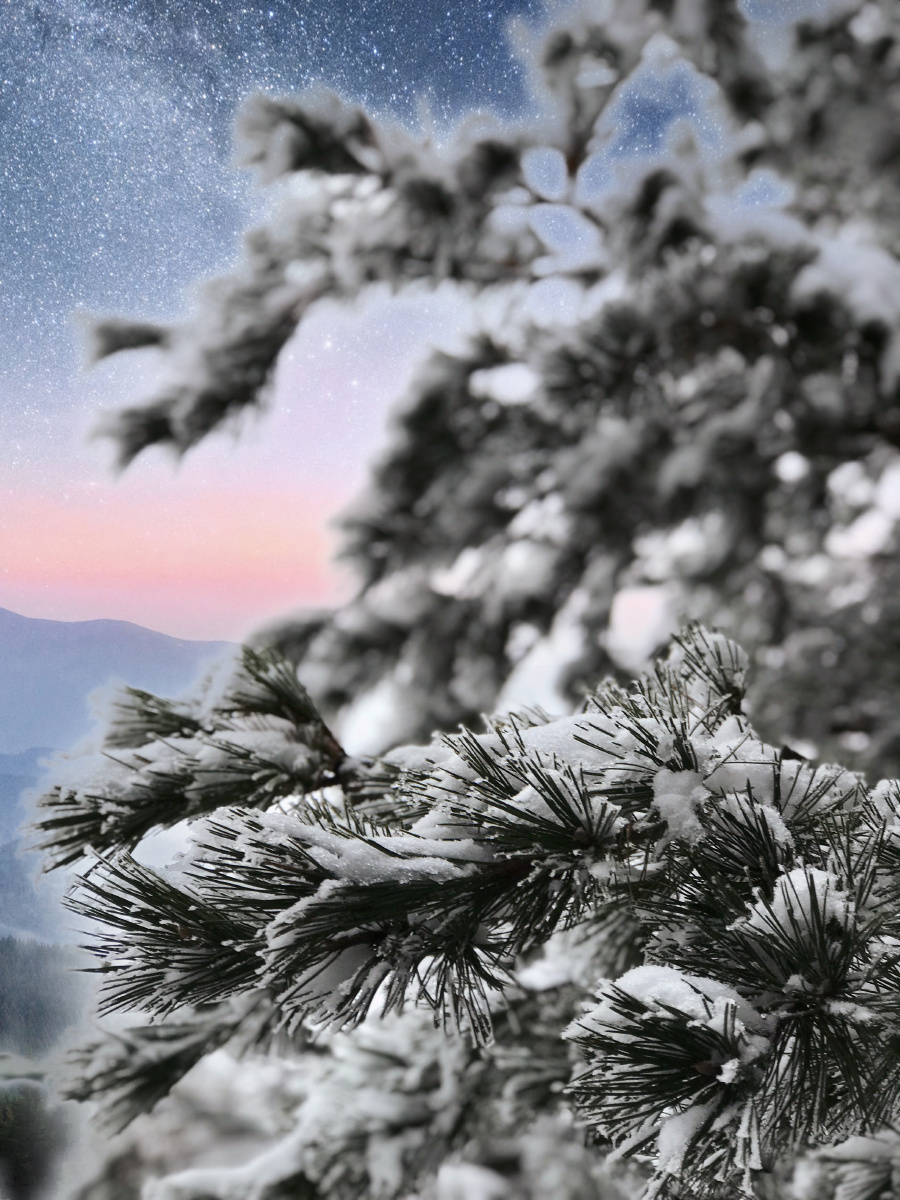 大雪飘飞的冬季