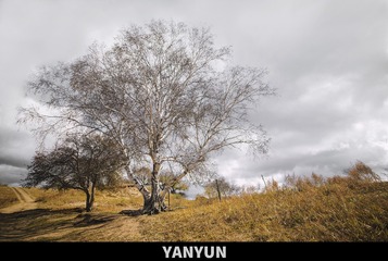 3030268