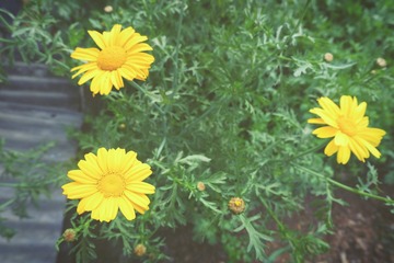 2005090