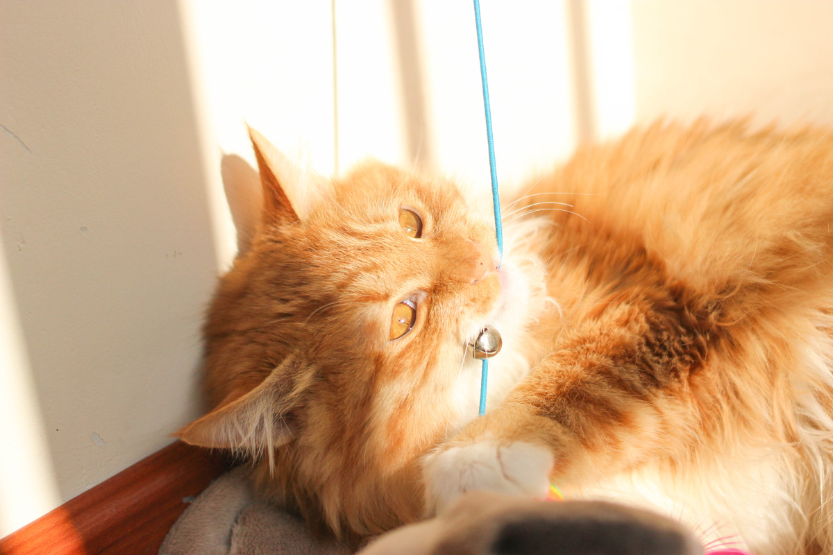 可以在今晚钻进我被窝的时候 偷偷亲我一下吗