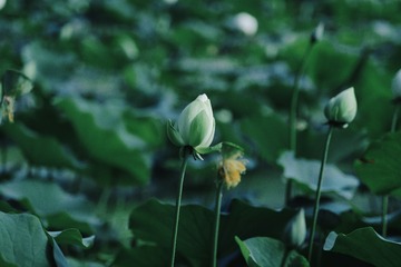 70F8C89E-270B-4588-B8C9-2390C8DB9840/L0/001