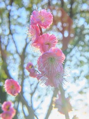 64F873CD-8C48-49A1-BC35-BC7CC53B4233/L0/001