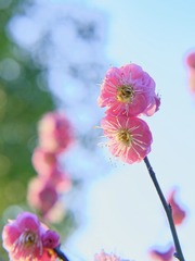 238AB039-1DF3-4CAD-ADF0-DDBE507A2070/L0/001