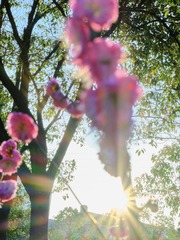 6F0B9DE5-E1EF-4D00-933A-6F8D498A4F55/L0/001