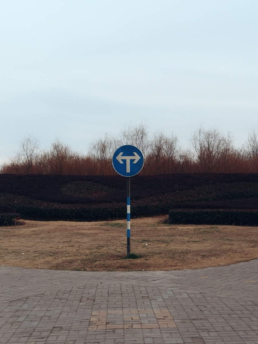 向左走向右走路就在那里一切由你由你选择由你行走由你承担