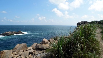 21-33-P1000464