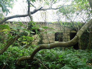 34-53-P1000537