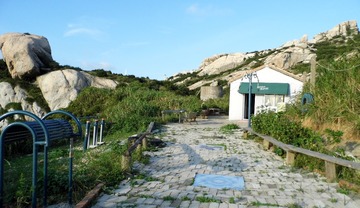 39-58-P1000560