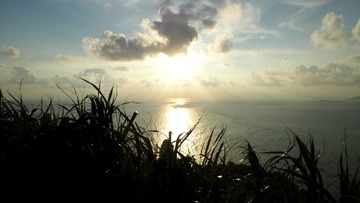 40-59-P1000565