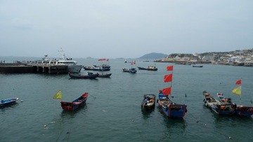 42-61-P1000596