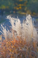 D322B430-137B-405F-B857-9D4F0E958BC1/L0/001