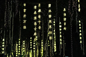 1000018007