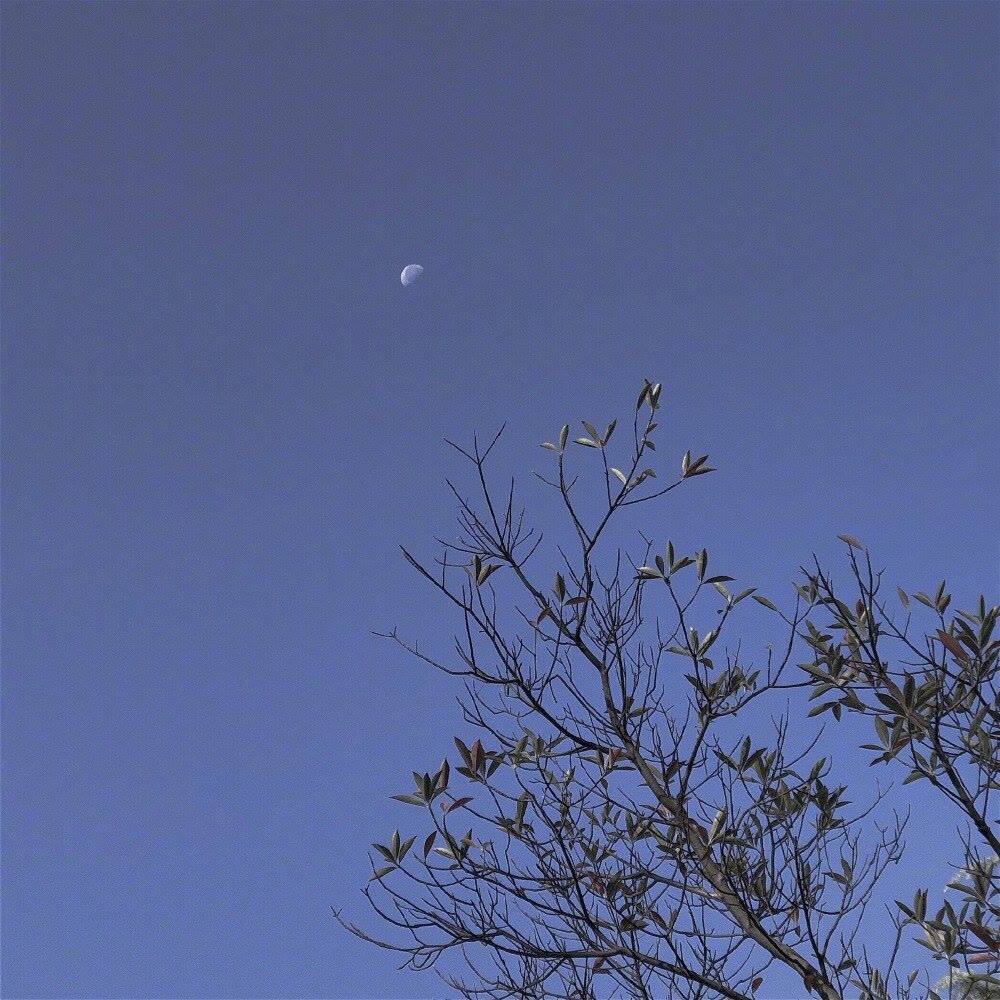 古风/背景图/丧气/微信/qq 背景图 - cn白伊依 - 图虫