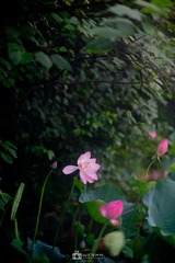 CD25564E-9189-453E-8C8C-8D1ABBC350FE/L0/001