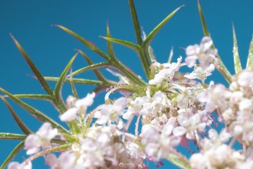 954DFEAB-B7EB-48C9-88E3-E0C1F4C882D8/L0/001