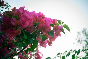 A0594A95-DE63-4122-B044-9BFB759D87CA/L0/001