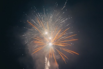 1000071930