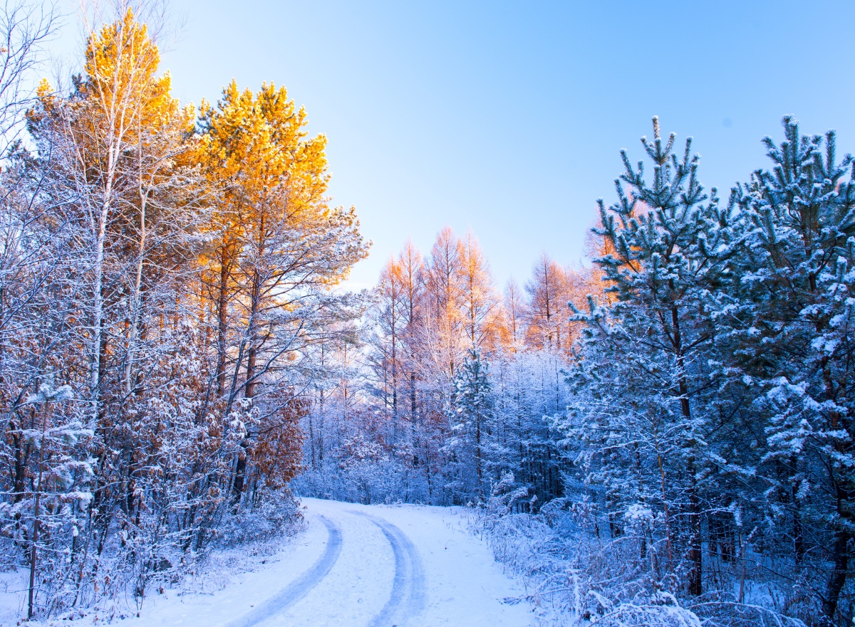 初雪- 芝波摄影 - 图虫