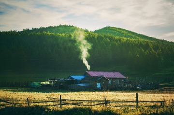 715992