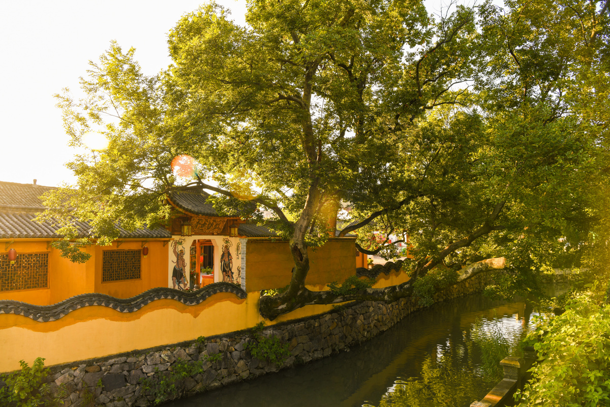 修心养性禅意人生 #义乌摄影 #视频制作 #义乌美景 #义乌寺庙#氯照