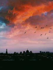 411