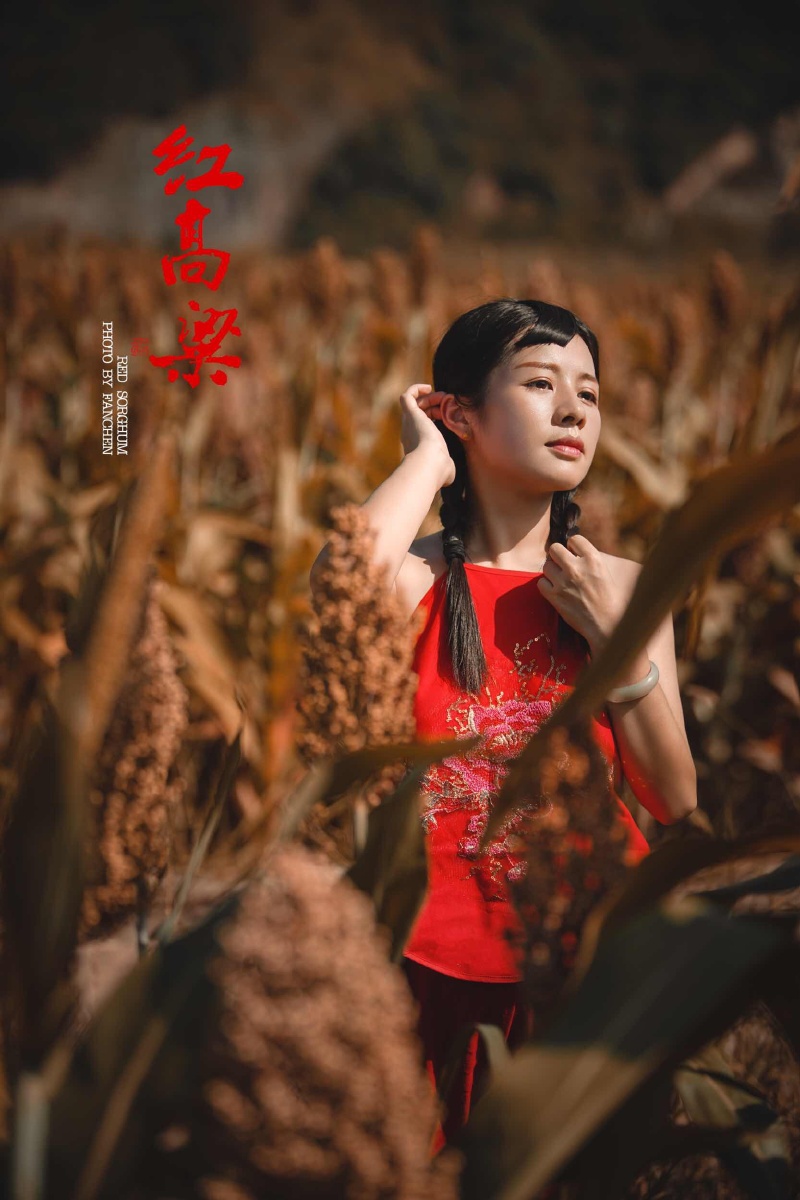 红高粱影评800字