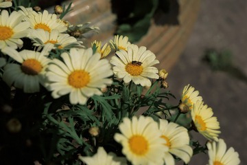 893346CC-229A-4028-9FE4-1886DE00C454/L0/001