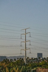 1000022753