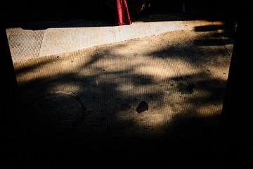 1000046253
