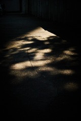 1000046235
