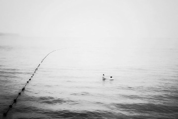 戏海 