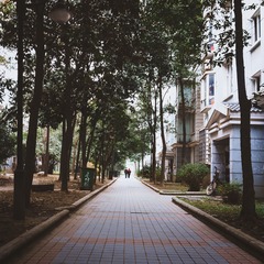 陪伴，没有尽头