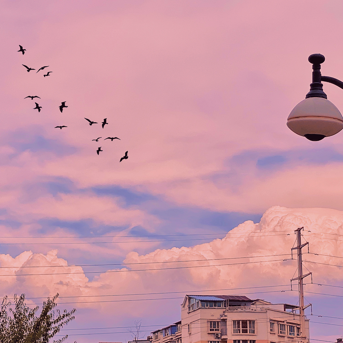 2020年照片回忆关于天空