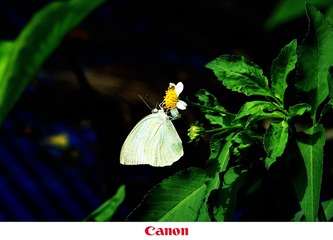 32542DF6-8A84-4F64-9851-5373D07C48EB/L0/001