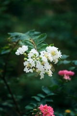 7F6983D3-CC22-455F-86CE-451F22094A72/L0/001