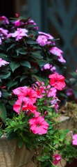 F53A9DC0-18AA-4B70-A8BD-2BA27F275D3E/L0/001