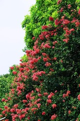 9CB69D2F-7898-4965-8D70-82409B22FF62/L0/001