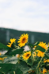 510F401A-15E5-4CF5-89CD-C383469694CC/L0/001