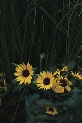 E527DC87-FFCE-4D7E-BA8C-CFB3A2222F65/L0/001