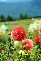 6D58E04E-F6B8-45F2-A5A3-CB93E5146BDB/L0/001