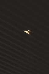 378CB53F-73A0-4D7F-BA19-4CCECDDBAC76/L0/001