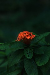 CA59A210-18F8-4021-B3BE-E78E96EAD167/L0/001