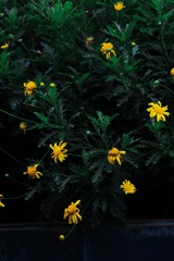 2476C608-57D9-49BD-8B81-0BC1793C7191/L0/001