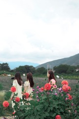A78F08DE-A1B8-48C0-8752-7A6F019F7863/L0/001