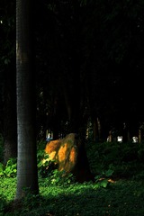4CC19958-F285-45F3-9822-D53546E483EF/L0/001