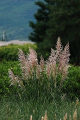 0DF8B398-9511-4E4D-B052-9396B1615B2C/L0/001