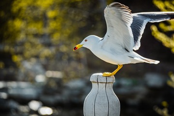 7839